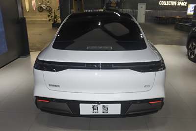 2025款 700km 远航智驾版-外观-图片-有驾