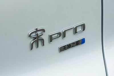 2026款 飞驰版 DM-i 301KM卓越型-外观-图片-有驾