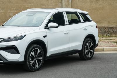 2026款 飞驰版 DM-i 301KM卓越型-外观-图片-有驾