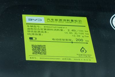 2026款 飞驰版 DM-i 301KM卓越型-外观-图片-有驾
