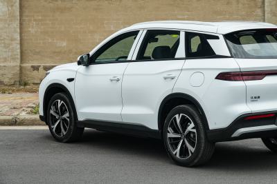 2026款 飞驰版 DM-i 301KM卓越型-外观-图片-有驾