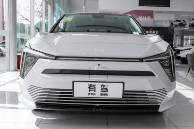 2025款 开拓者版-外观-图片-有驾