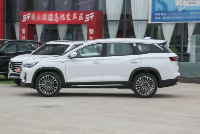 2023款 子龙 2.0T DCT常胜版 7座-外观-图片-有驾