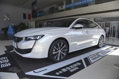 2021款 1.6T 插混科技版-外观-图片-有驾