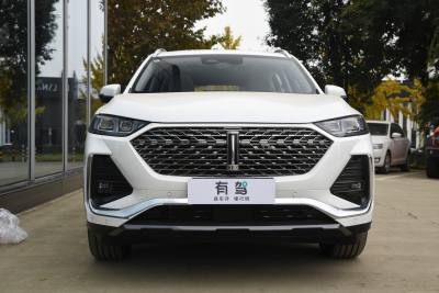 2022款 1.5T DHT大杯-外观-图片-有驾