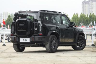 2026款 2.0TD XWD 穿越-外观-图片-有驾