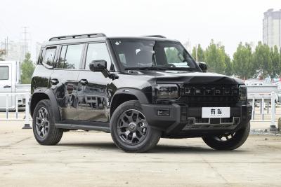 2026款 2.0TD XWD 穿越-外观-图片-有驾