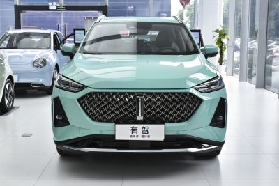 2021款 1.5L DHT大师版-外观-图片-有驾