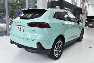 2021款 1.5L DHT大师版-外观-图片-有驾