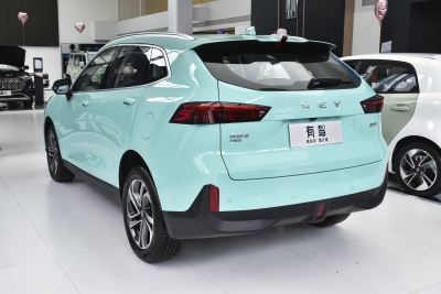 2021款 1.5L DHT大师版-外观-图片-有驾