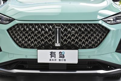 2021款 1.5L DHT大师版-外观-图片-有驾