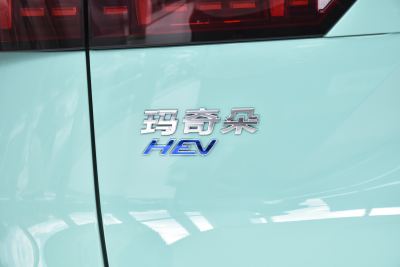 2021款 1.5L DHT大师版-外观-图片-有驾