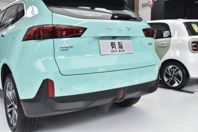 2021款 1.5L DHT大师版-外观-图片-有驾