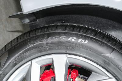 2025款 quattro 45周年典藏版 40 TFSI 豪华动感型-外观-图片-有驾