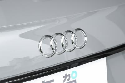 2025款 quattro 45周年典藏版 40 TFSI 豪华动感型-外观-图片-有驾