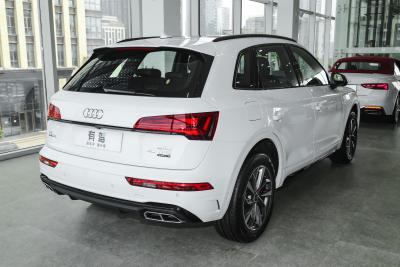 2025款 quattro 45周年典藏版 40 TFSI 豪华动感型-外观-图片-有驾