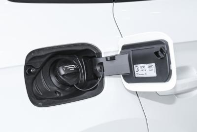 2025款 quattro 45周年典藏版 40 TFSI 豪华动感型-外观-图片-有驾