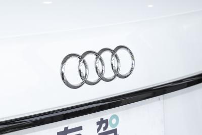 2025款 quattro 45周年典藏版 40 TFSI 豪华动感型-外观-图片-有驾
