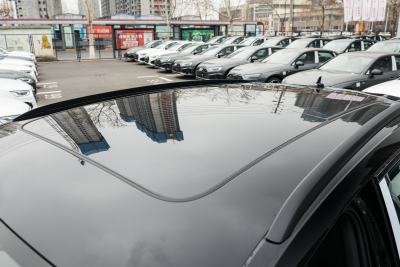 2025款 quattro 45周年典藏版 40 TFSI 豪华动感型-外观-图片-有驾