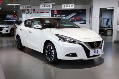 2021款 1.6L CVT智联智酷版-外观-图片-有驾