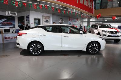 2021款 1.6L CVT智联智酷版-外观-图片-有驾