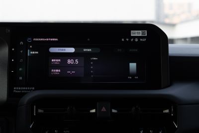 2024款 2.4T 悍野WX版 6座-内饰-图片-有驾