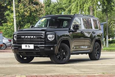 2025款 2.0T 汽油四驱勇士版-外观-图片-有驾