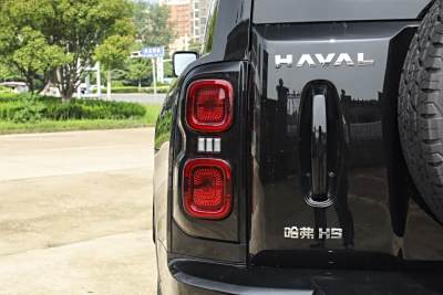 2025款 2.0T 汽油四驱勇士版-外观-图片-有驾