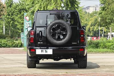 2025款 2.0T 汽油四驱勇士版-外观-图片-有驾