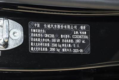 2025款 2.0T 汽油四驱勇士版-外观-图片-有驾