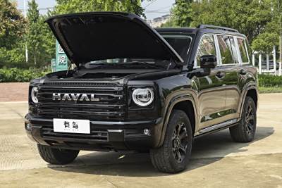 2025款 2.0T 汽油四驱勇士版-外观-图片-有驾
