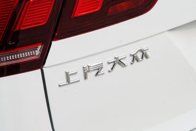 2025款 330TSI 自动两驱R-Line龙耀版-外观-图片-有驾