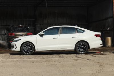 2026款 Pro 300TSI 智逸版-外观-图片-有驾