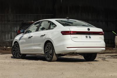 2026款 Pro 300TSI 智逸版-外观-图片-有驾