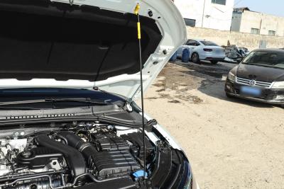 2026款 Pro 300TSI 智逸版-外观-图片-有驾