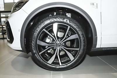 2025款 改款二 300TSI DSG两驱星光版-外观-图片-有驾