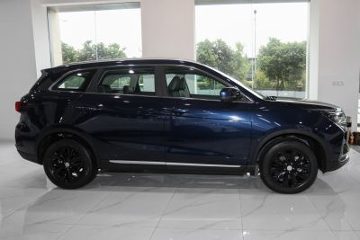 2021款 1.5T 自动精英型 7座-外观-图片-有驾