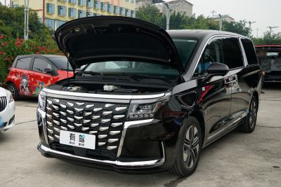 2024款 智聆版 1.5T 252KM 尊贵型 三元锂-外观-图片-有驾