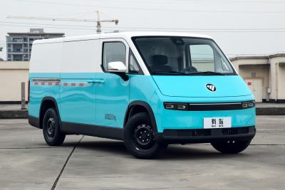 2025款 专业物流短轴前驱 爱易科41.86kWh 智远版 平顶单胎 2座-外观-图片-有驾