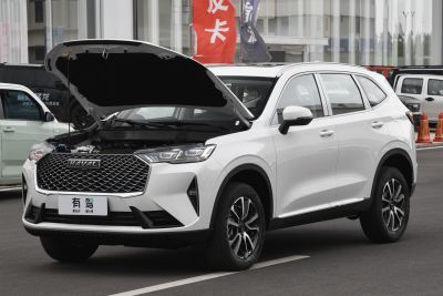 2024款 1.5T 两驱经典版-外观-图片-有驾