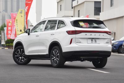 2024款 1.5T 两驱经典版-外观-图片-有驾