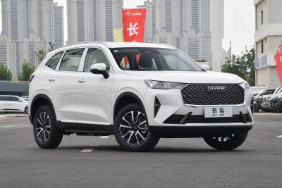 2024款 1.5T 两驱经典版-外观-图片-有驾
