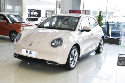 2021款 400km标准续航 维纳斯版 磷酸铁锂-外观-图片-有驾 2021款 400km标准续航 维纳斯版 磷酸铁锂-外观-图片-有驾