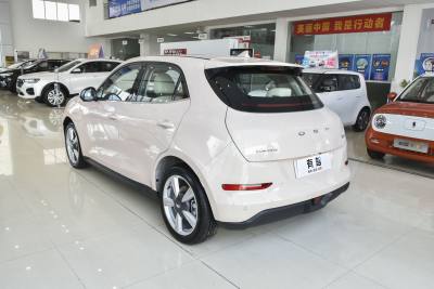 2021款 400km标准续航 维纳斯版 磷酸铁锂-外观-图片-有驾 2021款 400km标准续航 维纳斯版 磷酸铁锂-外观-图片-有驾