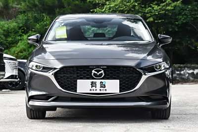 2025款 2.0L 自动质雅版-外观-图片-有驾