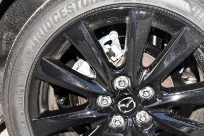 2025款 2.0L 自动质雅版-外观-图片-有驾