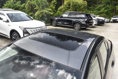 2025款 2.0L 自动质雅版-外观-图片-有驾