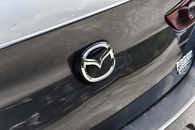 2025款 2.0L 自动质雅版-外观-图片-有驾