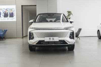 2022款 2.0T 蓝鲸版-外观-图片-有驾