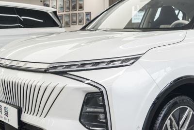 2022款 2.0T 蓝鲸版-外观-图片-有驾